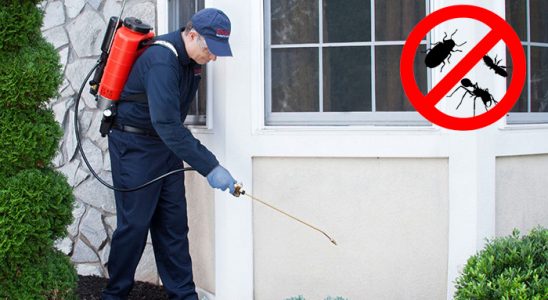Alacakaya Dezenfeksiyon böcek ilaçlama ve haşere kontrolü — ilaclama-tr.com